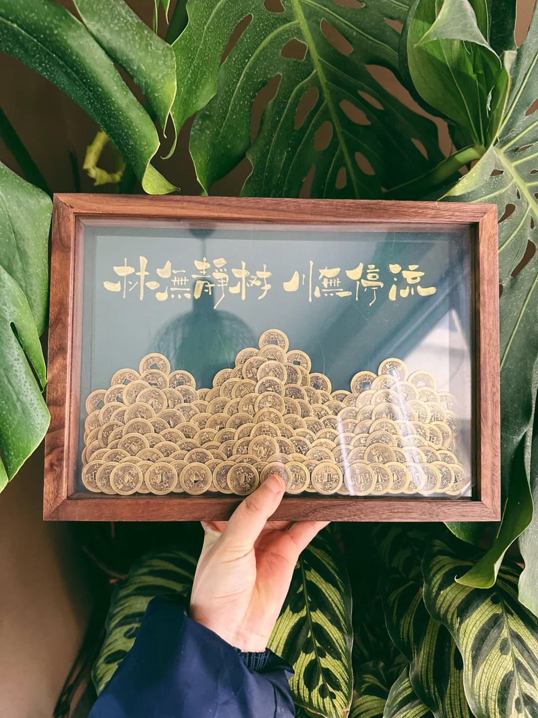 乔迁送什么礼物🎁“日照金山”幸运的象征！