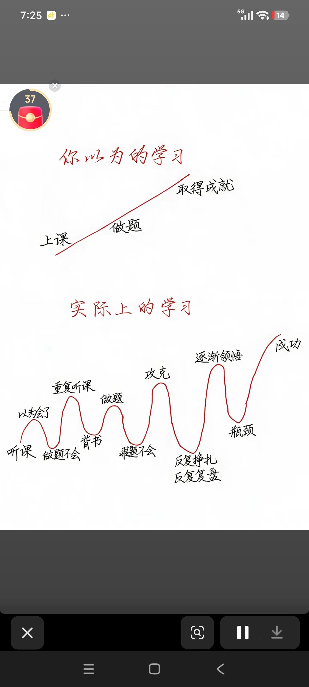 《学习的波浪》

我们总爱幻想一条通往云端的直线，
以为只要迈出脚步，
每一寸光