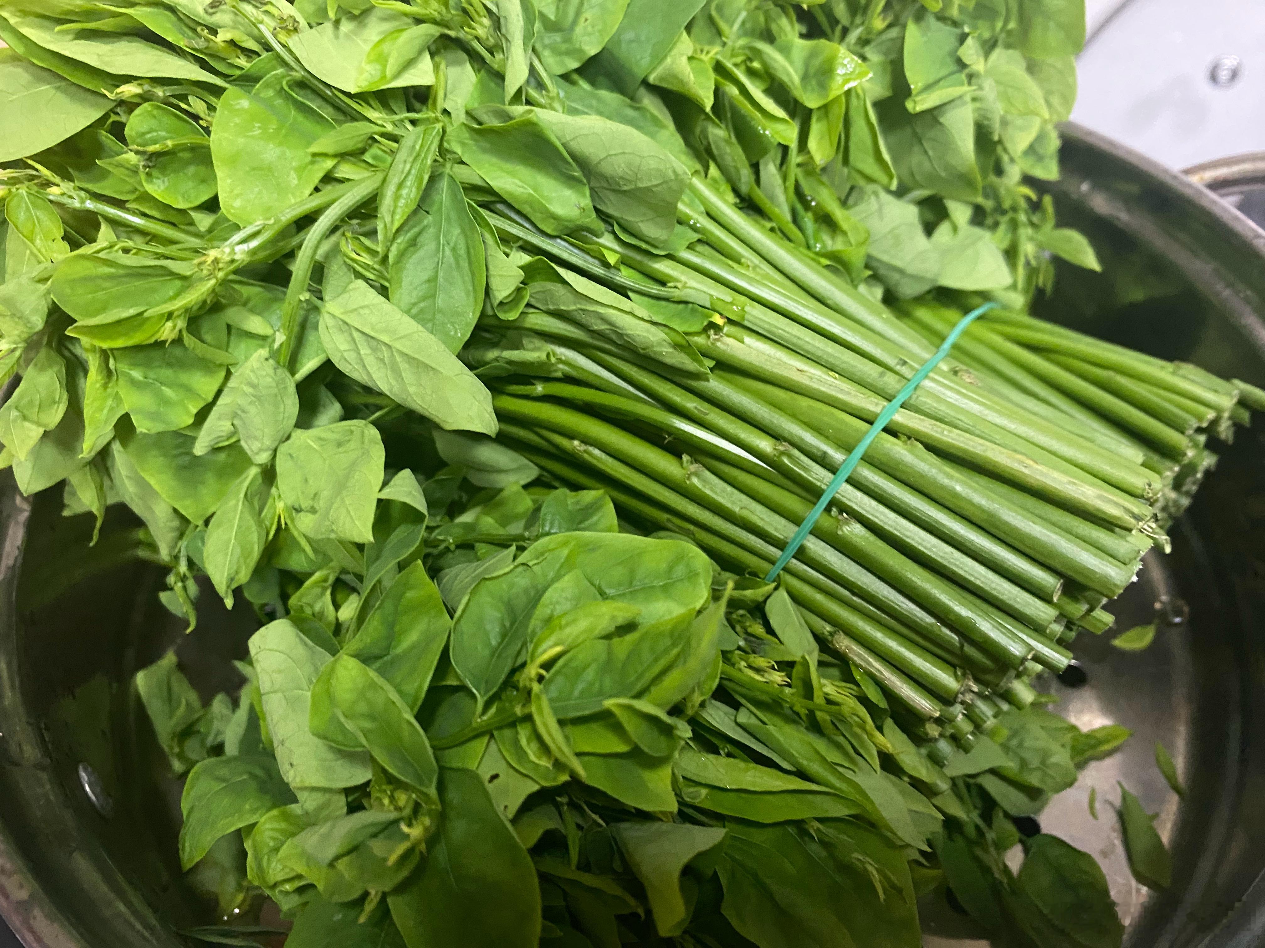 来自潮汕地区的树仔菜，又叫五指山野菜，我也是第一次吃。清炒，只放盐，还挺脆爽的。