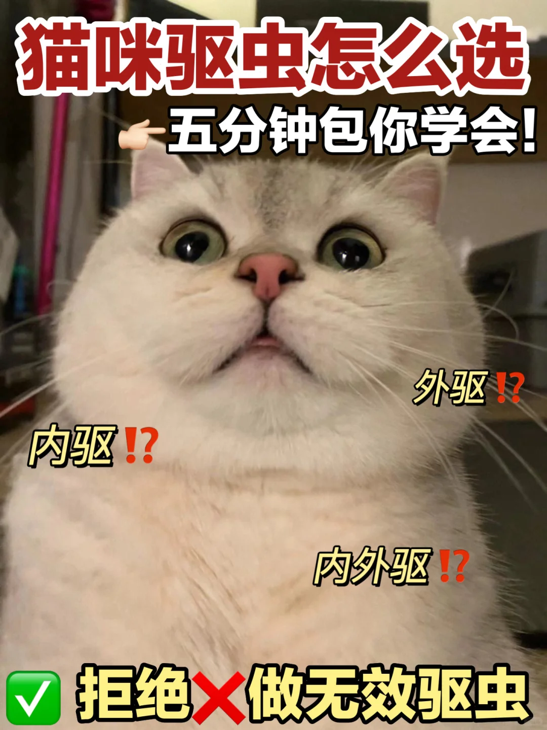 养猫不走冤枉路❗拒绝无效驱虫‼️