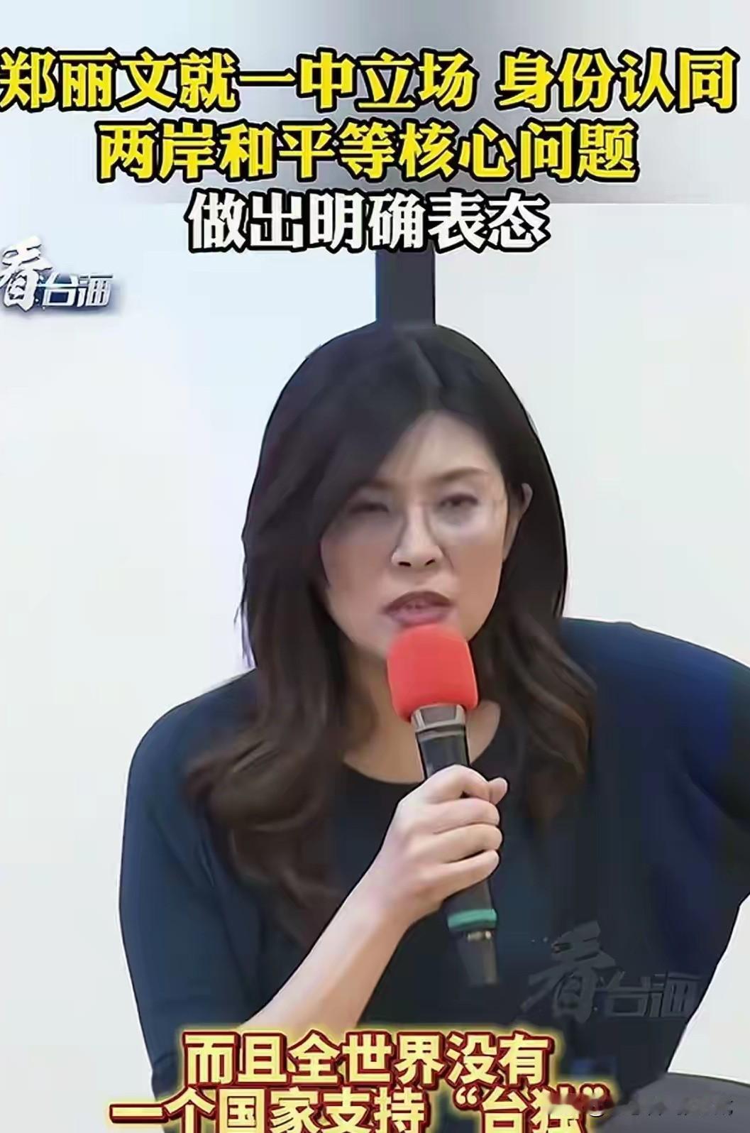 郑丽文：全世界没有一个国家支持台独！