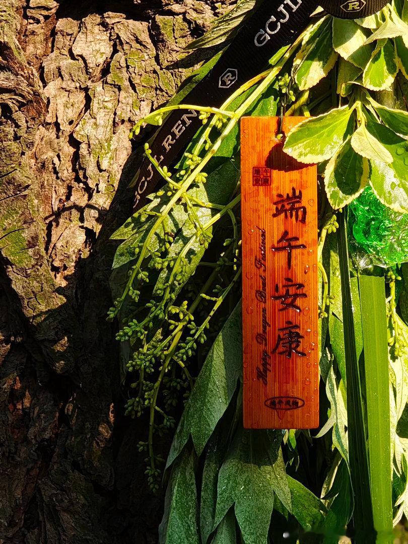 森林驿站 🌾✧ 仲夏清欢 端午吉祥 ✧🌾草木生香，岁月从容🪁愿往后每一段时
