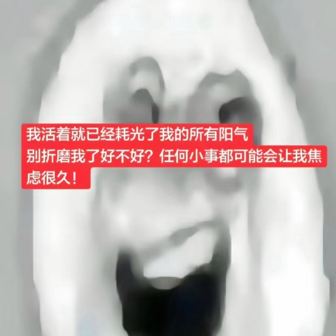 分享图片 