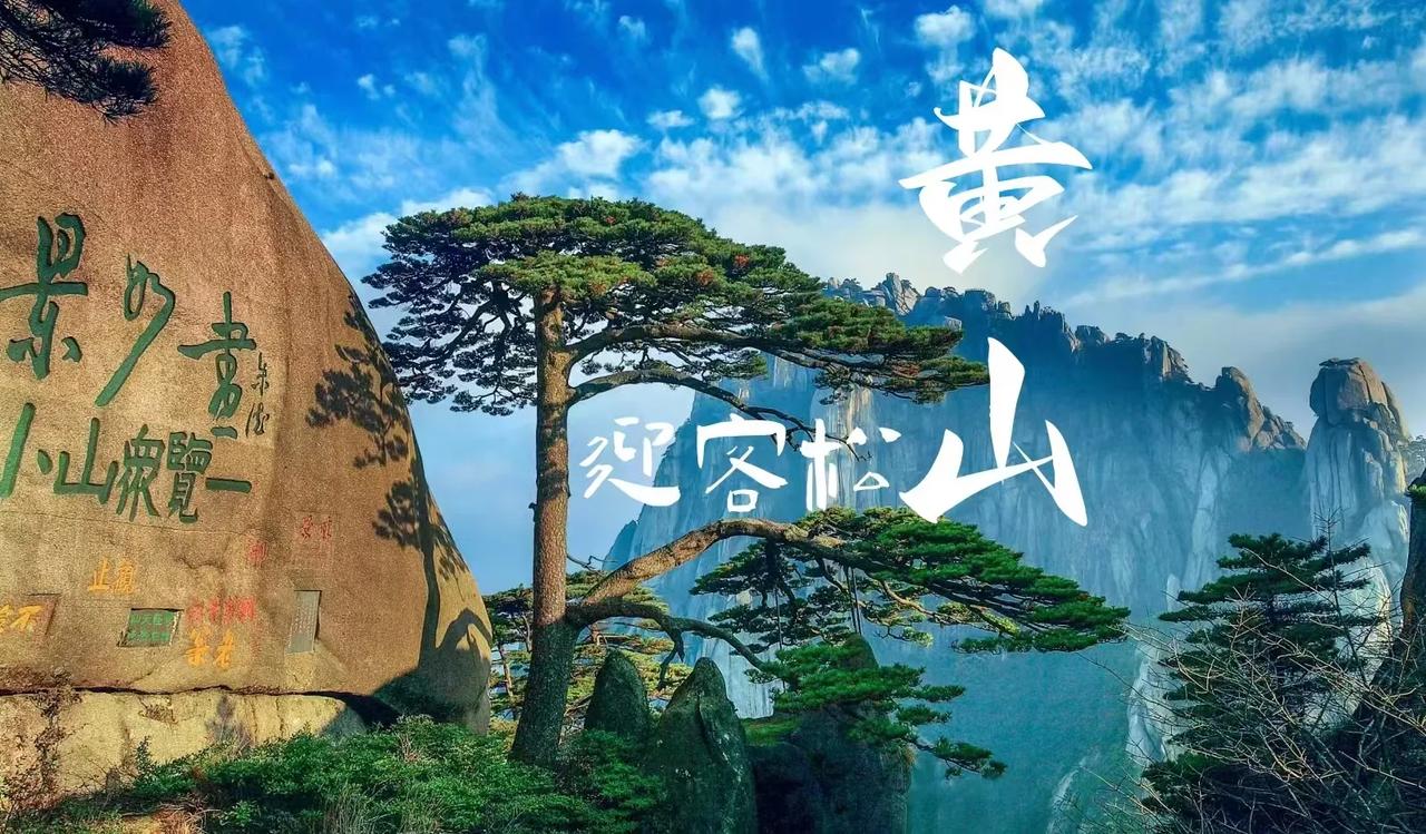 盛年不重来，一日难再晨。及时当勉励，岁月不待人，有空出去走走吧…
