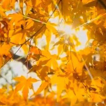 森林驿站‎阳光‎信用每日‬一善 生命的价值，在于传递善意；人生的意义，在于奉献温