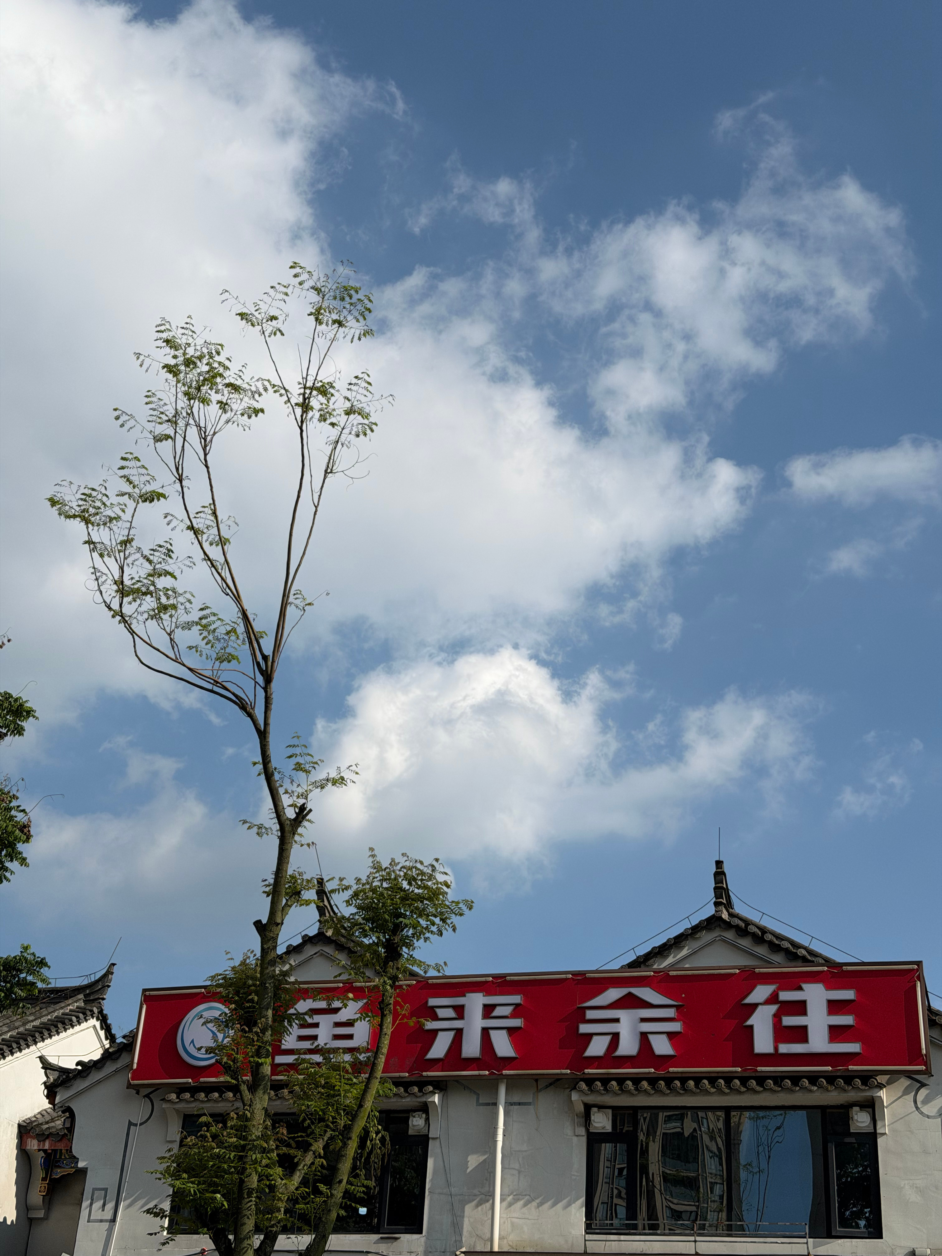 分享图片 
