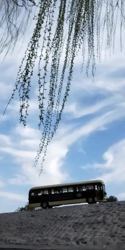 马踏春风入翠微，青山如笑绽芳菲。
寻幽恰是踏青日，且伴流云共忘机。