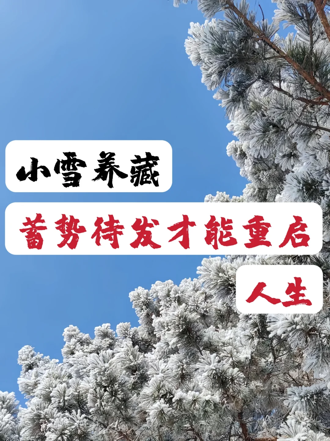 明日小雪，你不得不注意的7件事