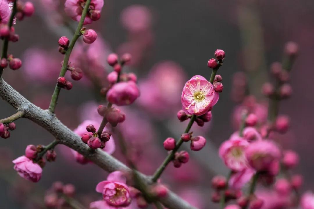 “但看花开落，不言人是非”，我觉得这一句话就道尽了尊重的真谛。尊重就是像花开花落