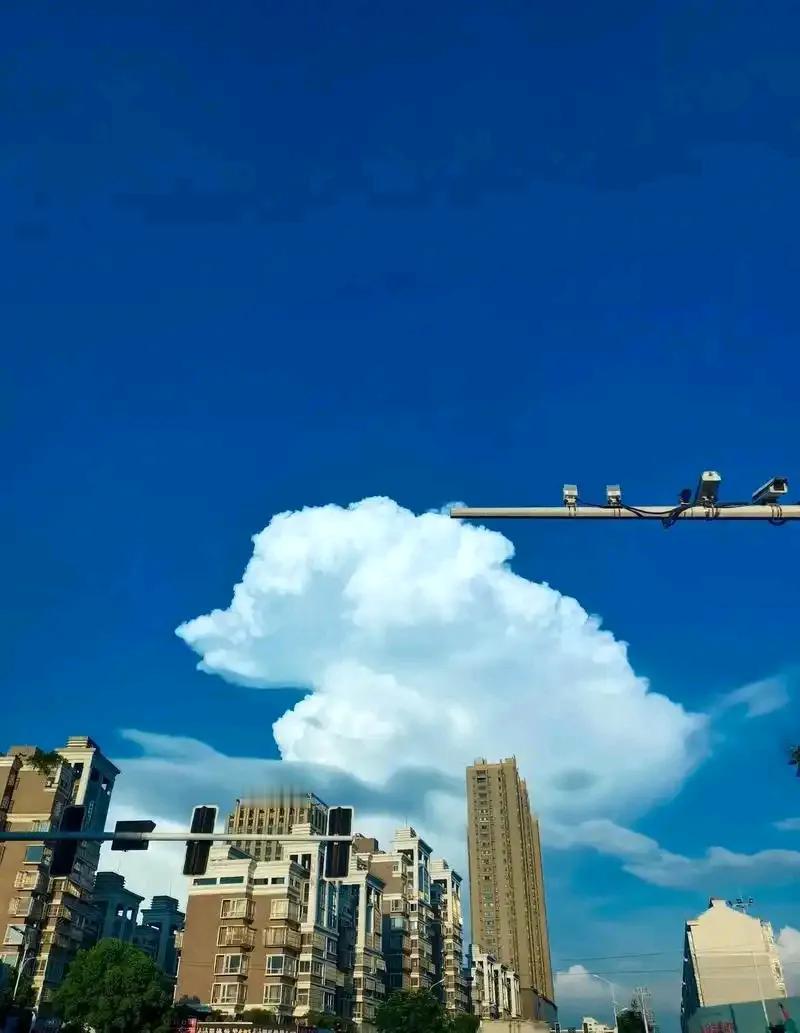 俗话说得好，皇上疼太子，
百姓疼长子
嫁到俩兄弟家
你是不受待见的老二媳妇
还是