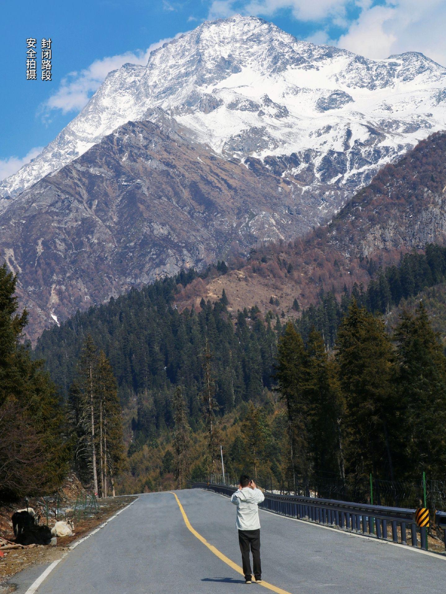 比起四姑娘山，我更爱这个未被开发的秘境～在四姑娘山旁边，有一座未被开放...