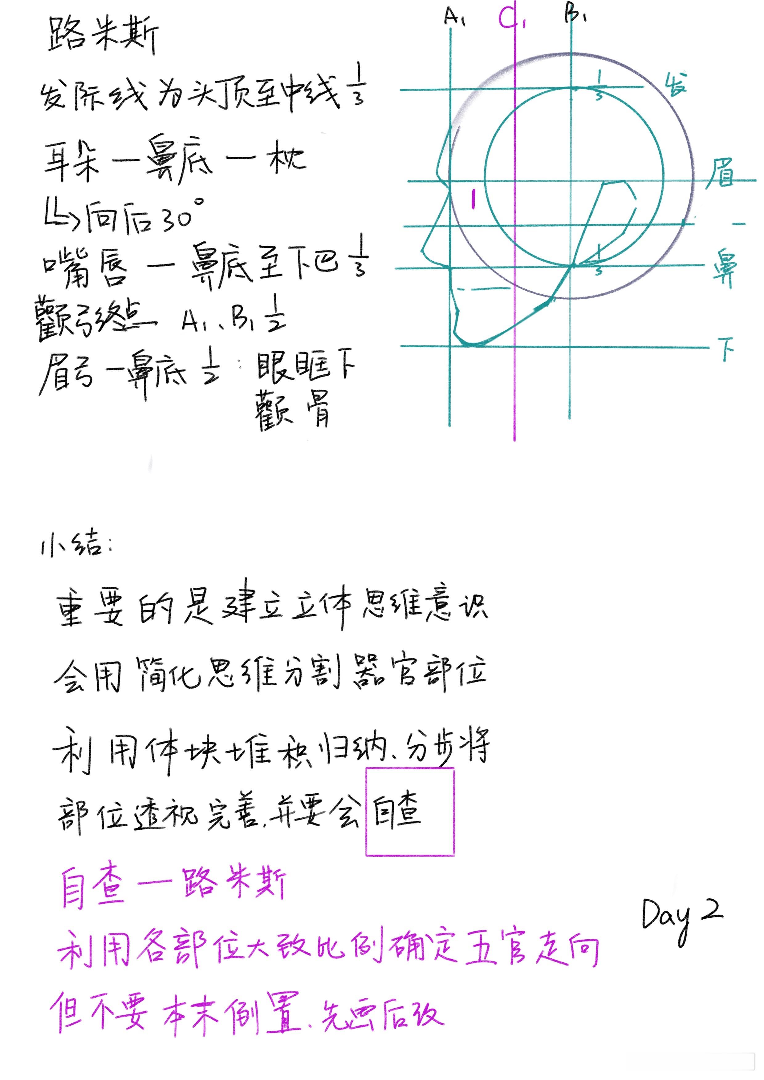 调调头像课 day2好难啊这个比例  专栏 · 调调头像课打卡