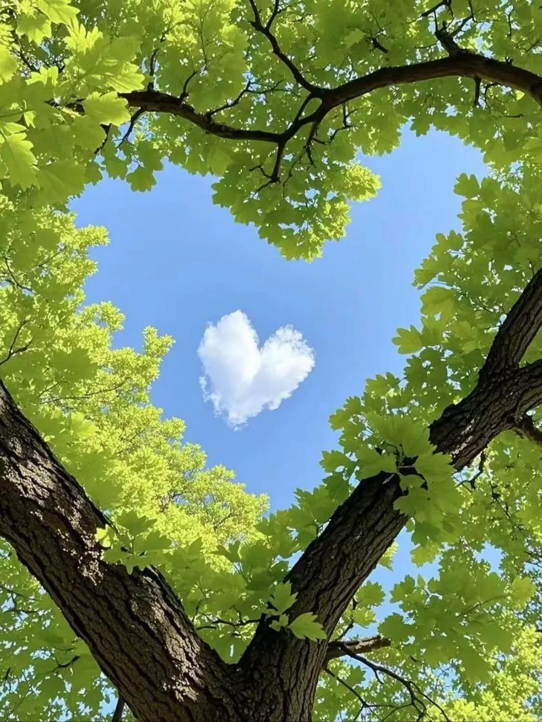 活得最舒服的人，你满足几条？
1、夫妻都在县城的体制内工作
2、无房贷和车贷
3