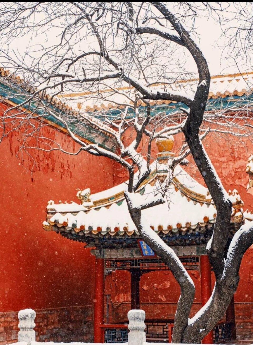 北京一下雪，整个朋友圈就统一换上了“白屏”头像。前一天晚上还刮着干巴巴的小北风，