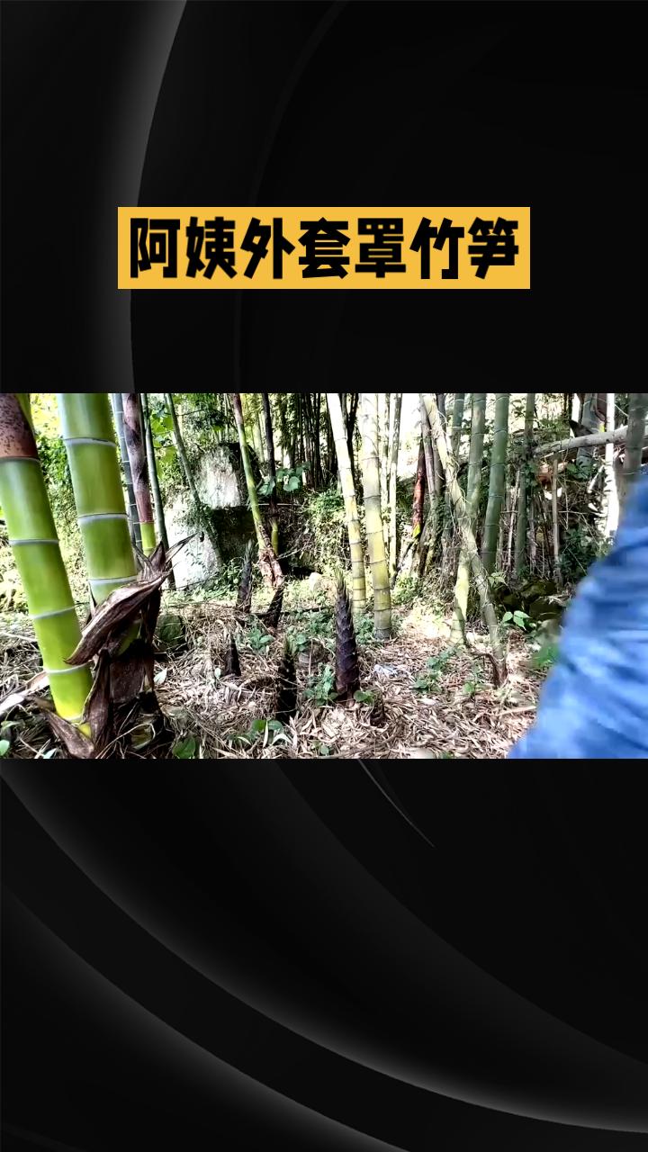 街头的梧桐树抽出新芽，阳光照在人身上暖洋洋的。春天真是个折腾人的好时节，万物都在