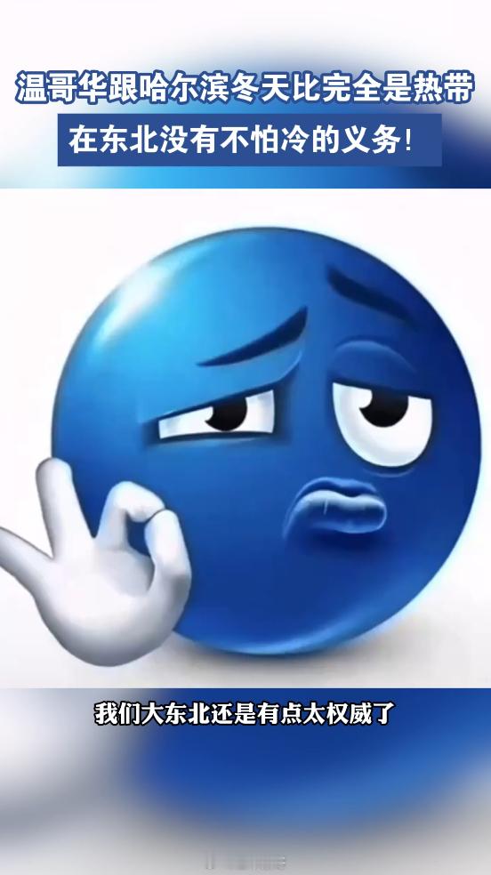 温哥华跟哈尔滨冬天比完全是热带笑喷！公公的全副武装居然是瑞士军刀，不是秋裤？东北