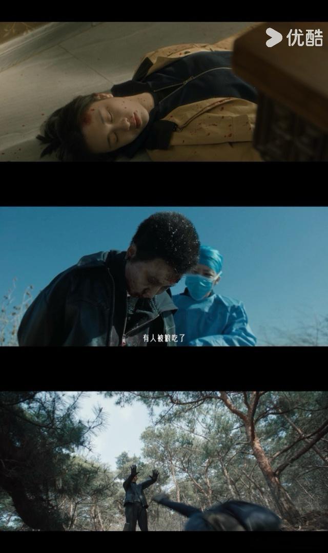 冬城猎凶定档0910东北硬核刑侦来了，一桩悬案压了13年，王阳万茜联手追凶，余文