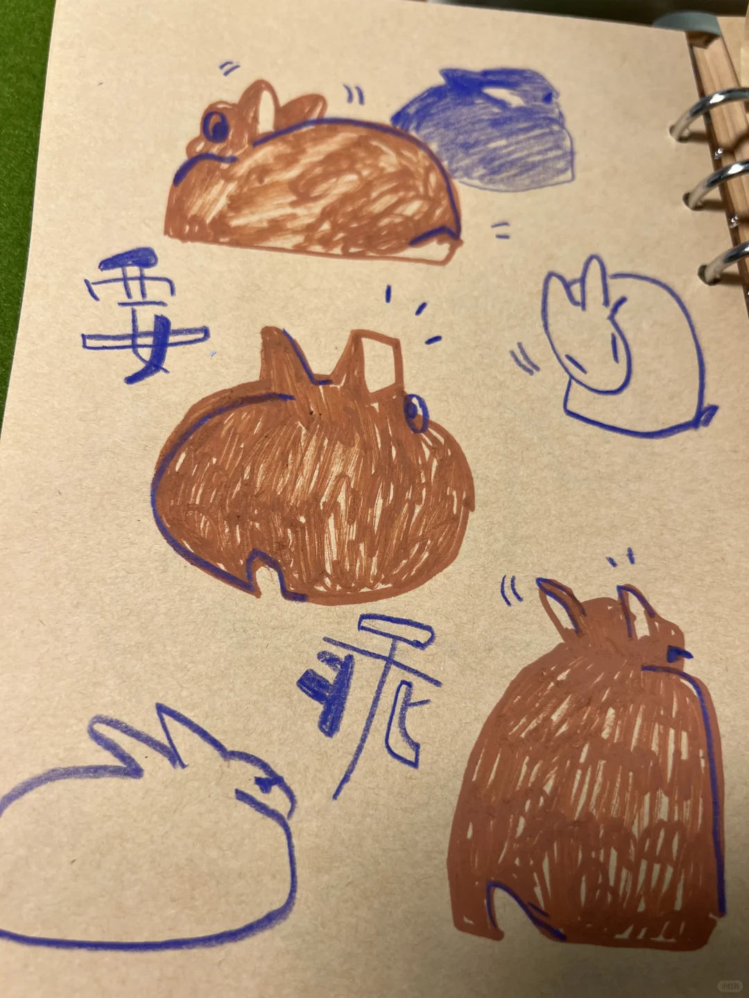 画画｜要乖哦！才怪！
