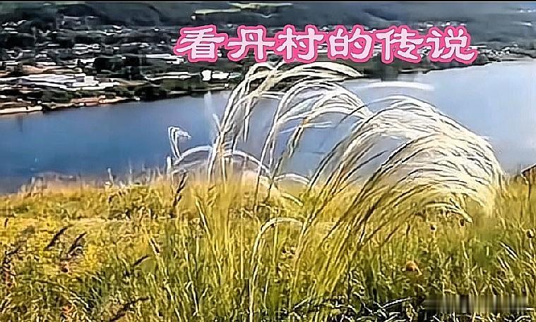 北京丰台“看丹”地名完整由来
 
一、史料本源：原名「看滩」（文字可考）
 
明