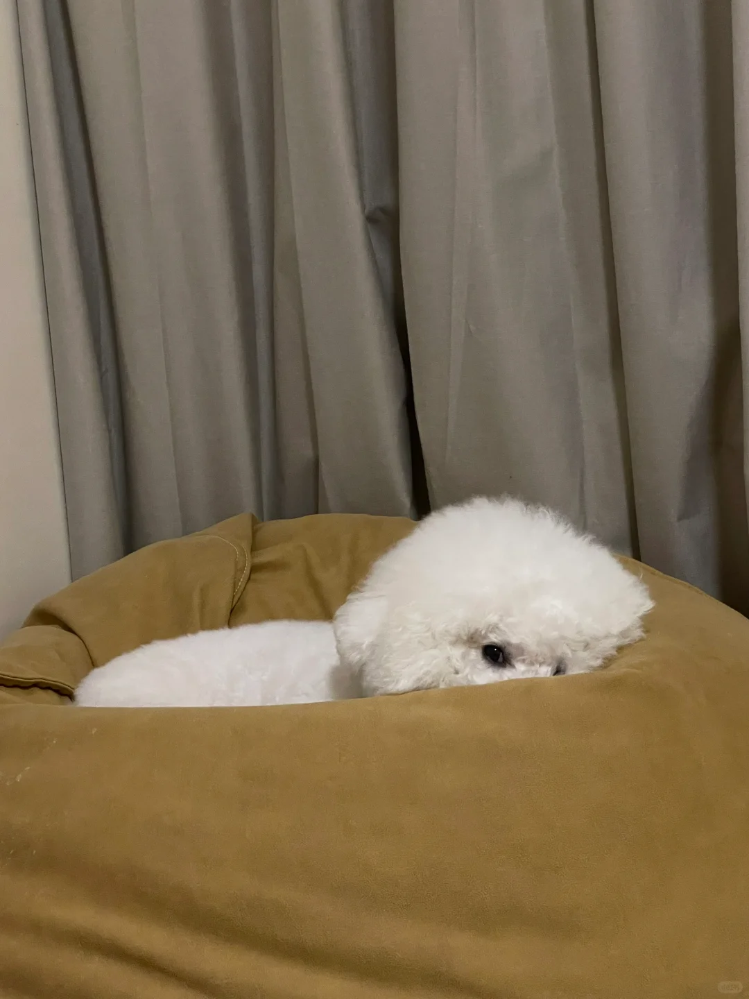 眼睛一闭一睁就开始上班咯