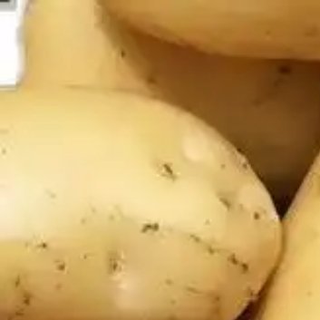 种植 🥔马铃薯种植方法主要包括以下几个方面：1. 选地整地：选择土壤肥沃、土质