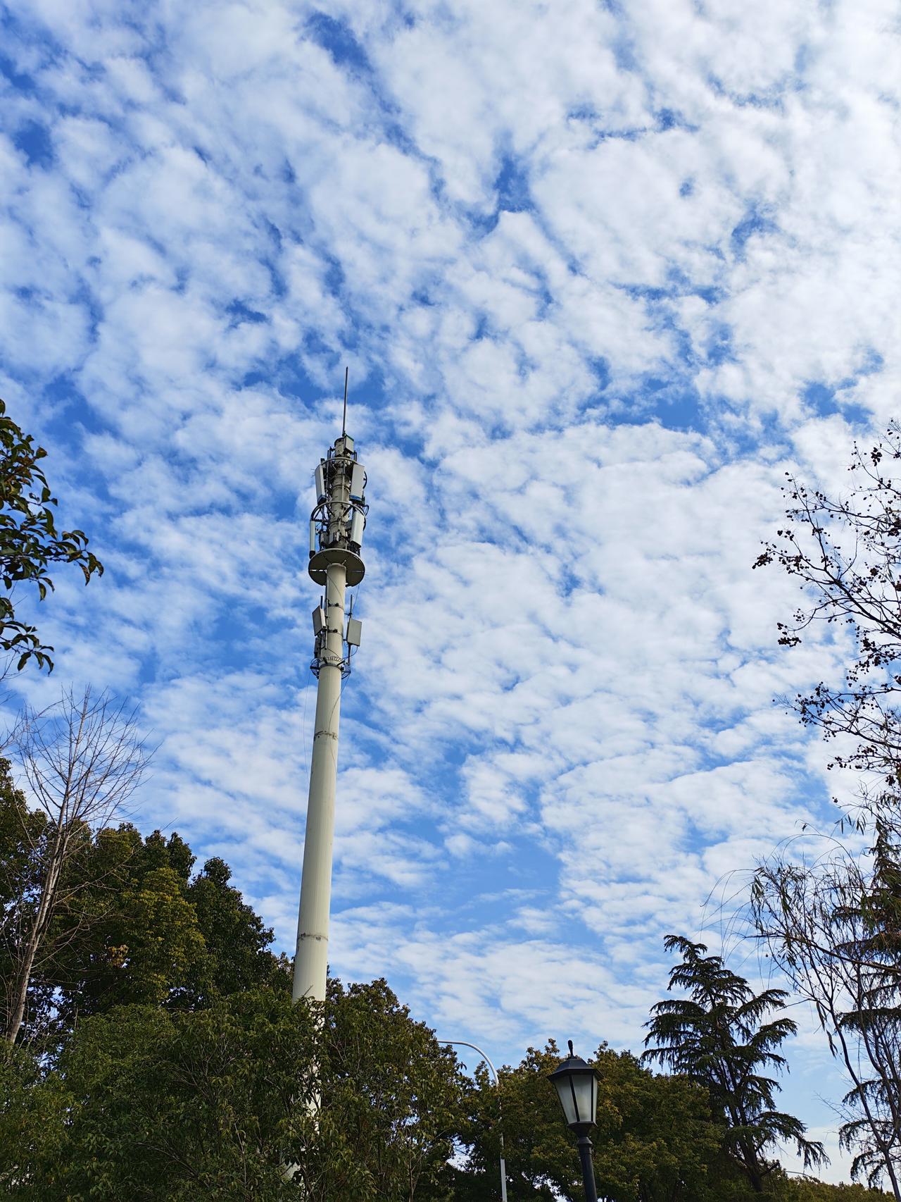 今天早饭后，又照常走出家门到京杭大运河岸边来散步，由于冬至已过，已经实至名归地进