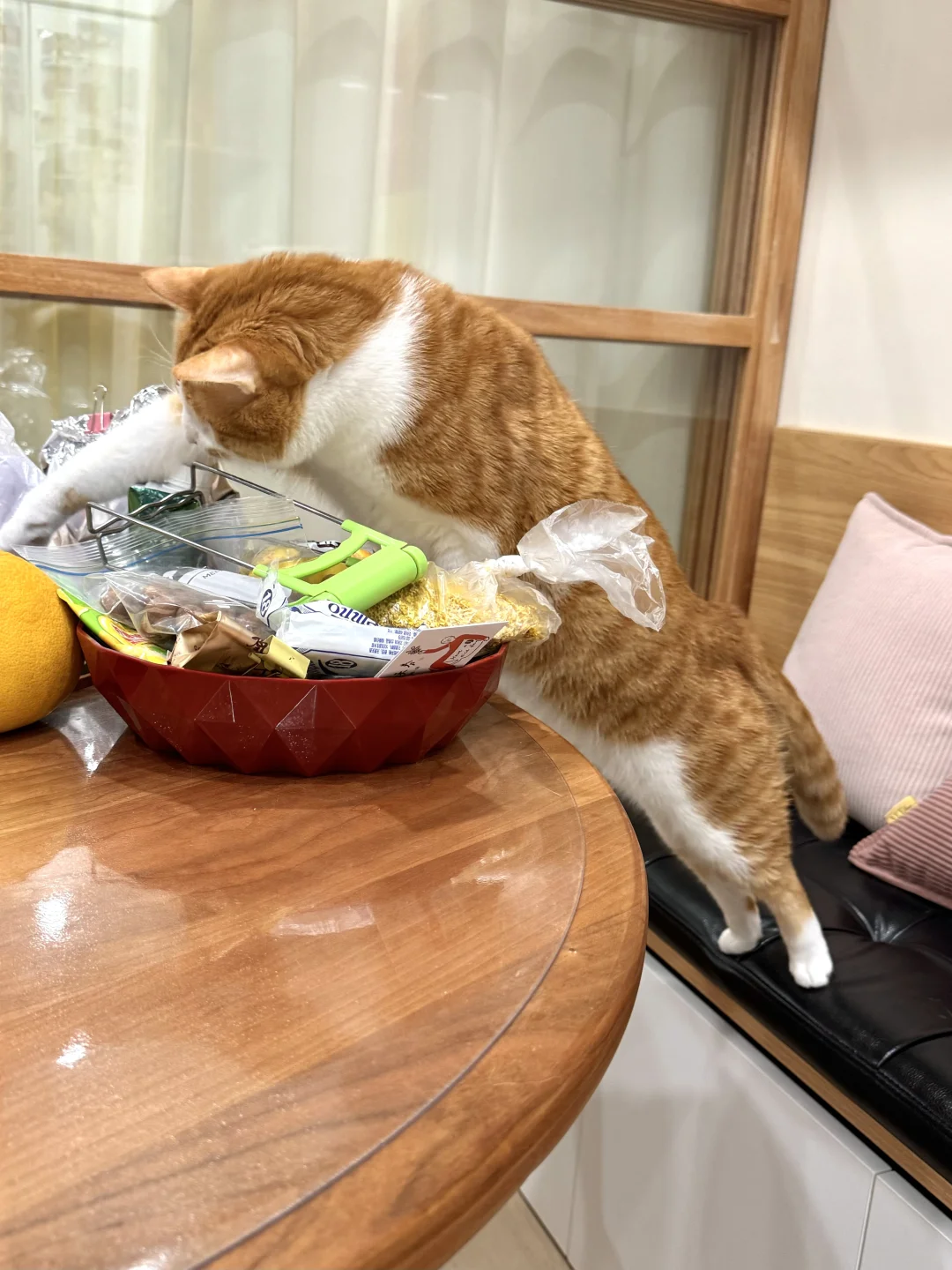 看看扒拉点什么玩