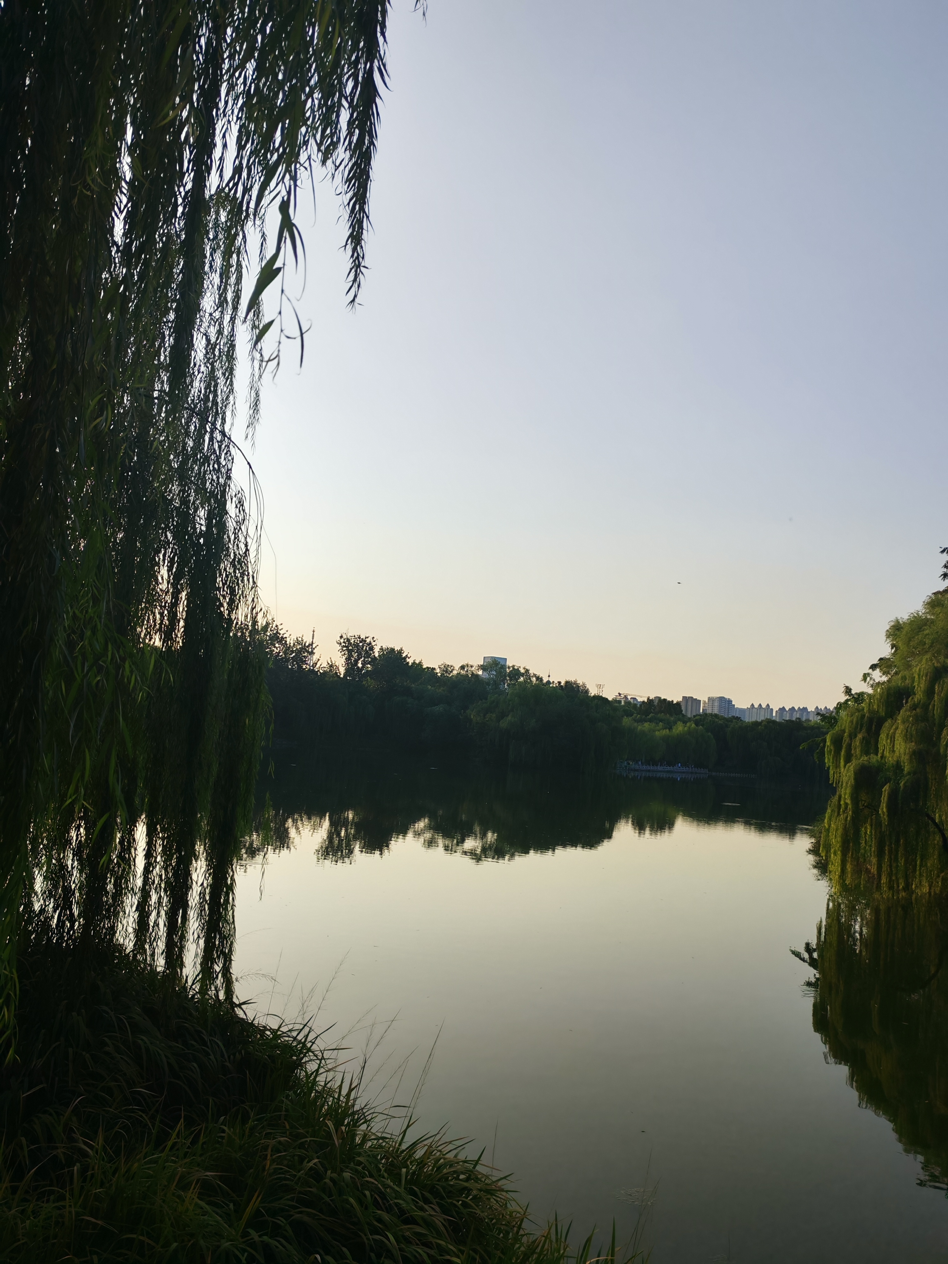也是来到了大明湖畔太热了真的太热了 济南·大明湖景区