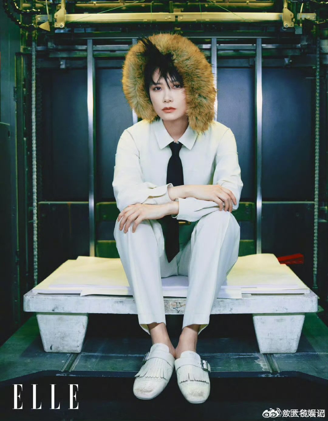 浪姐摇来了整个娱乐圈打 call 团比公演还精彩，已经开始疯狂期待舞台了乘风20