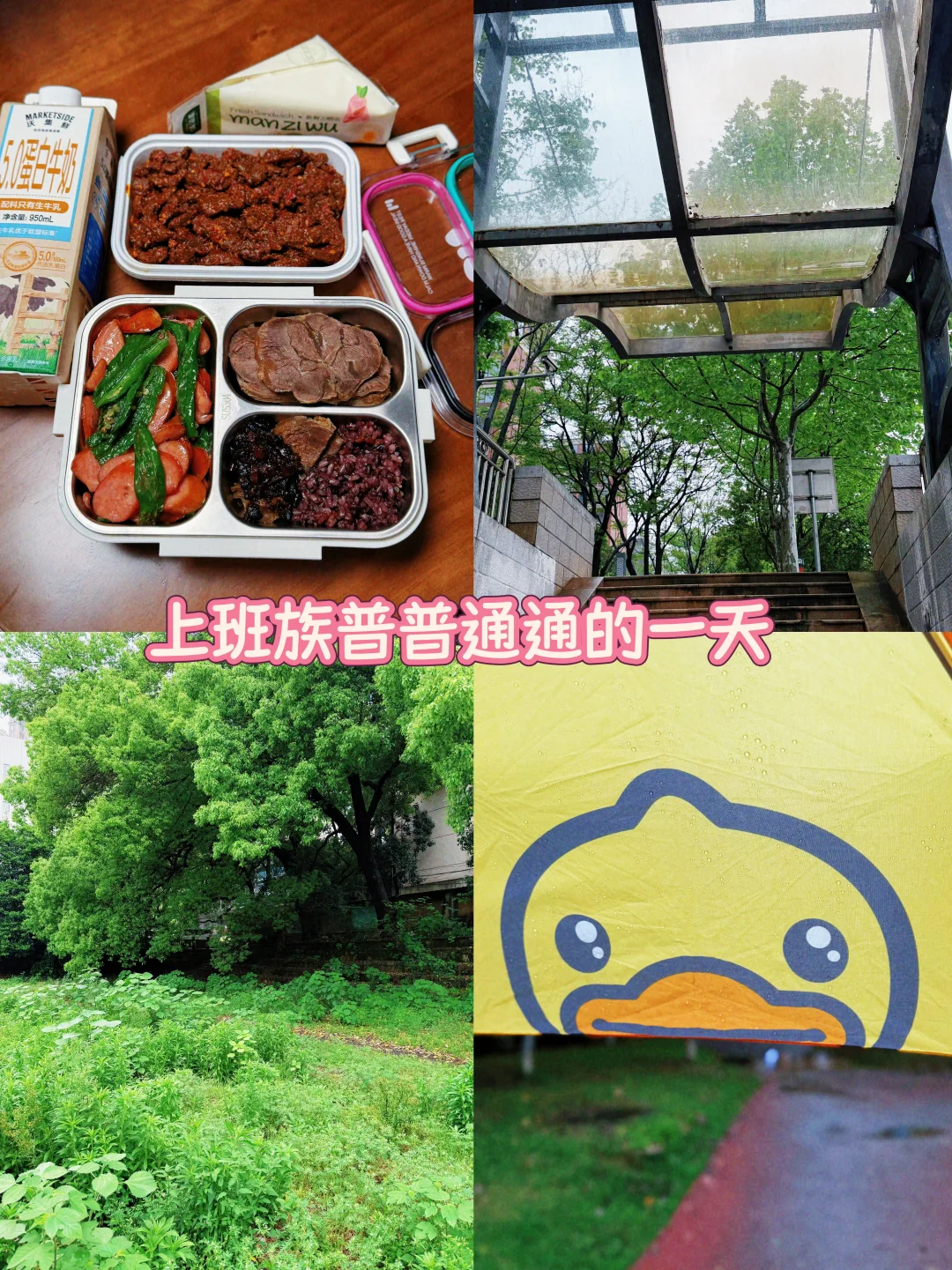 上班族普普通通又开开心心的一天