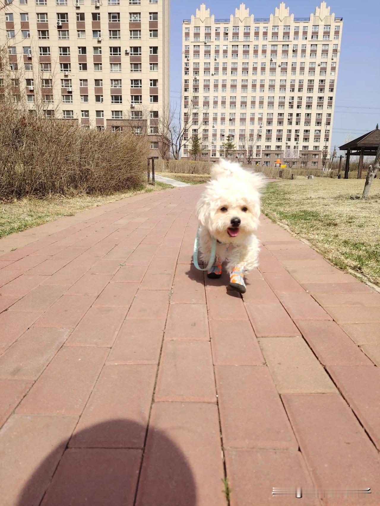 晒图笔记大赛