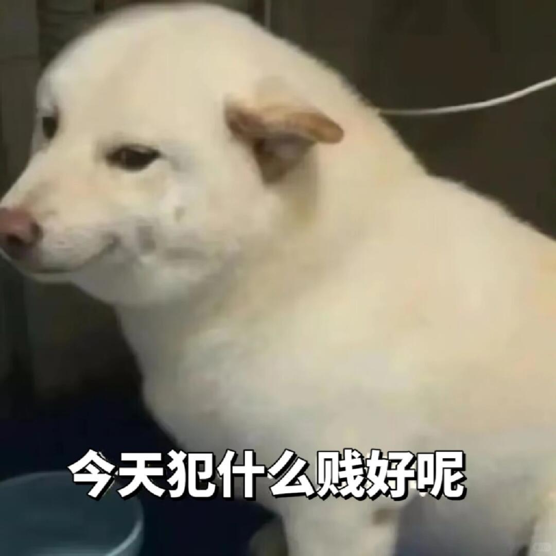 走，去dqd和虎扑评论区看各队球迷吵架 ​​​