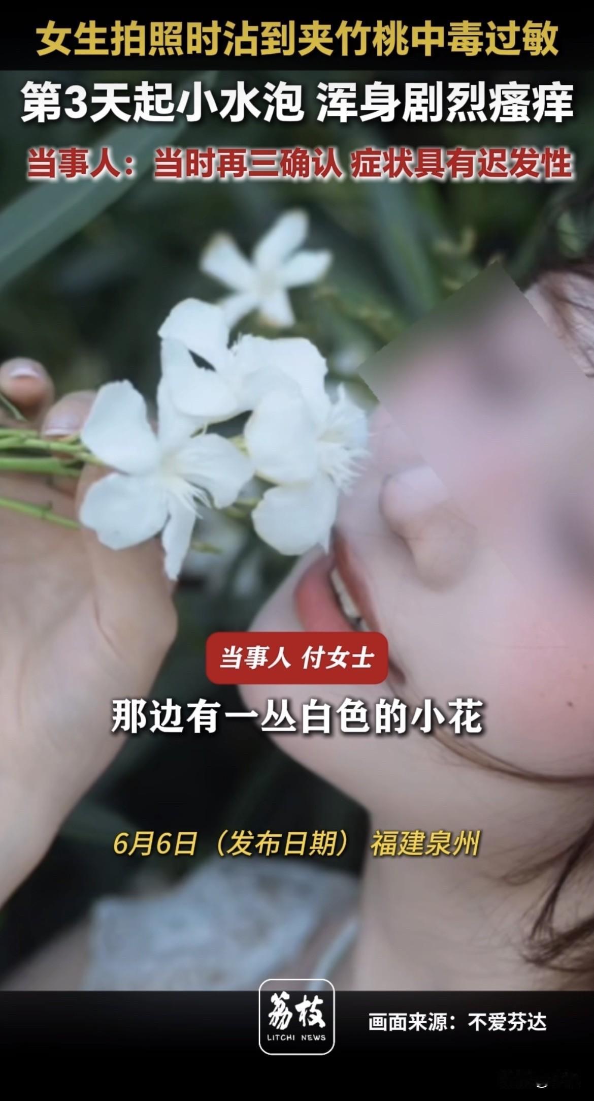 她把白色夹竹桃塞进嘴里的时候，觉得这花真好看。她不知道，三天后自己会变成什么样。