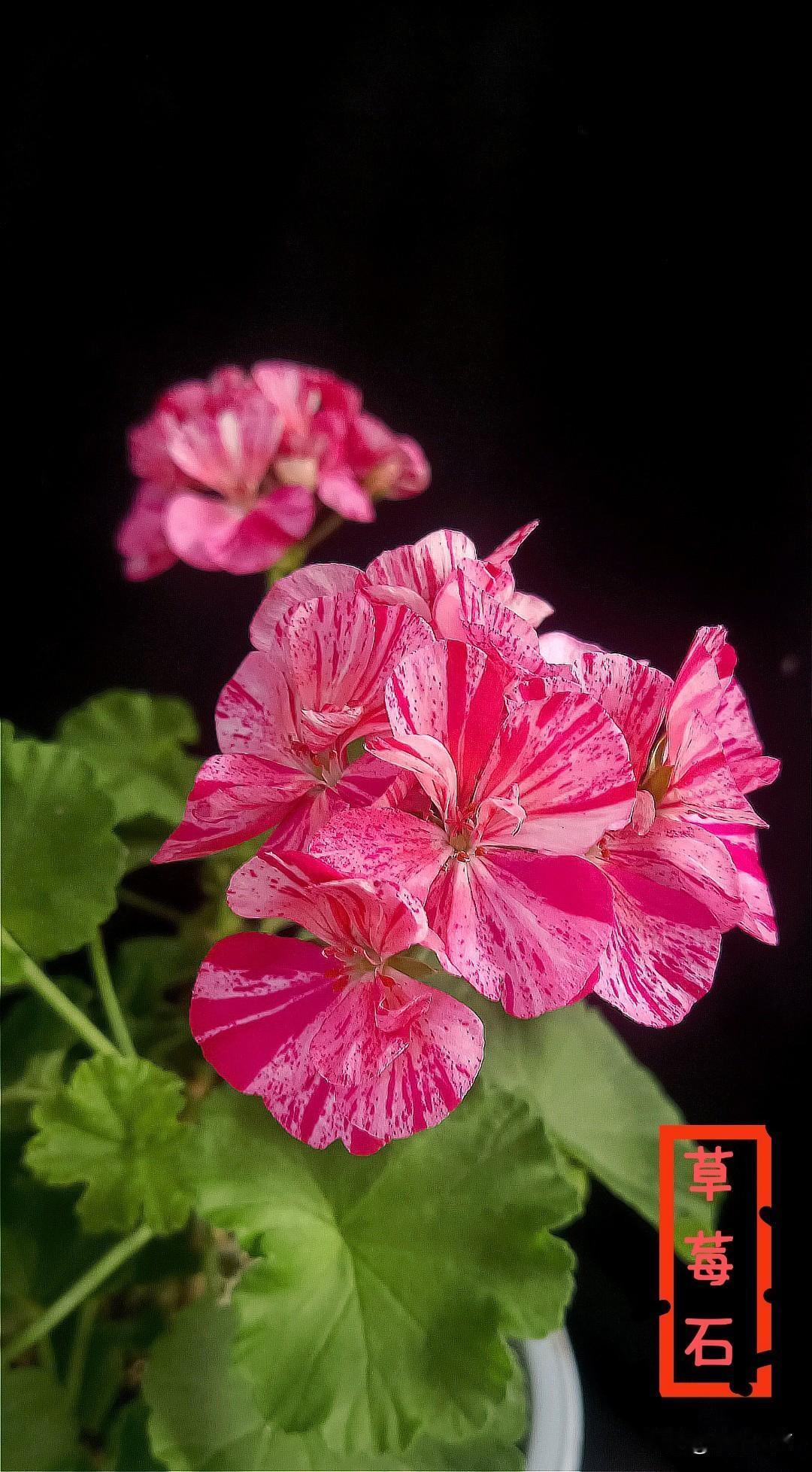 虽然确实如你所言，哪个省都有很多种方言，但是中国绝大部分省的方言都能够互相沟通。