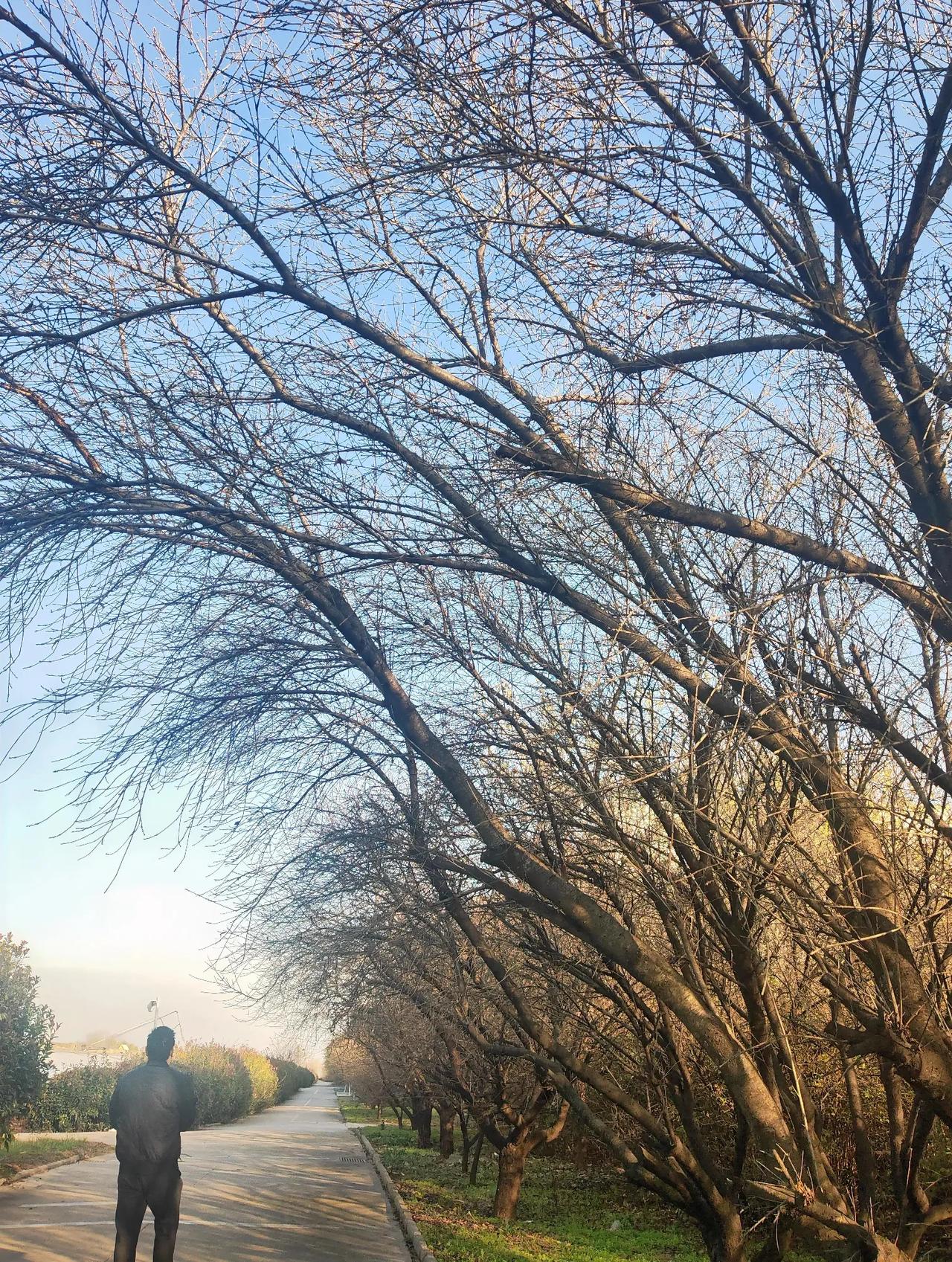 我小学时候手有冻疮，白天肿得像面包。晚上土坑烧的烫很，手痒痒的忍不住反反复复挠，