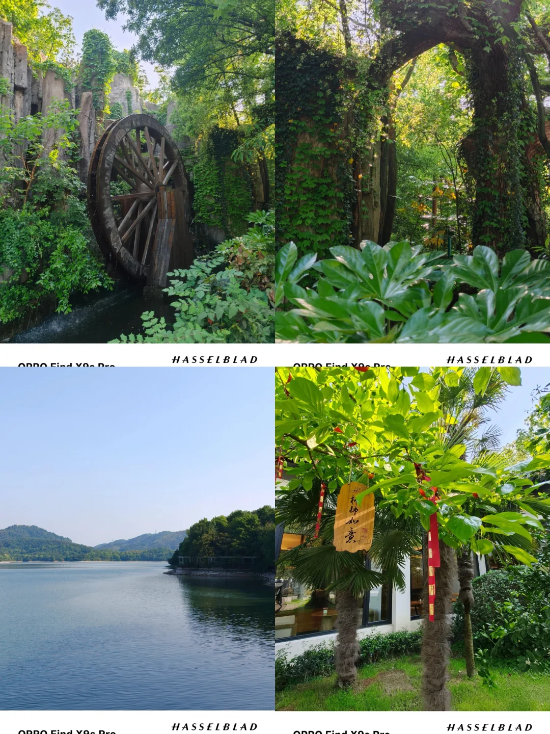 阳光下画面通透干净，没有过度锐化，照片保留原生质感，翻看相册依旧有种身...
