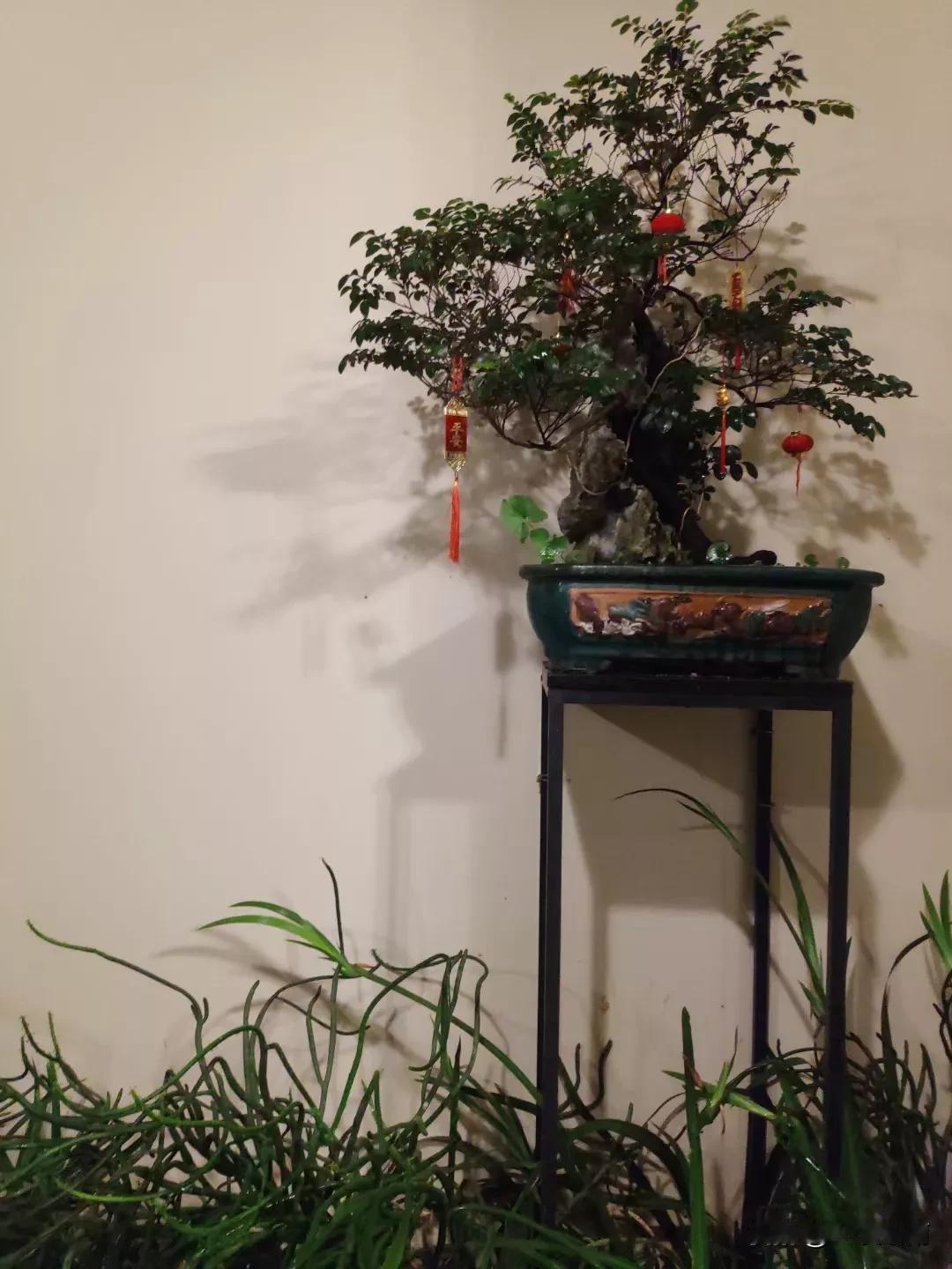 我发现一个问题，人们常说:男人养家活口。现实中真的是这么一回事吗？依我看，年轻人