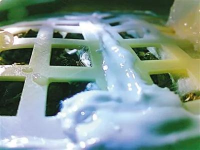 2019年1月15日，中国嫦娥四号任务搭载的生物科普试验载荷在月球表面成功培育出