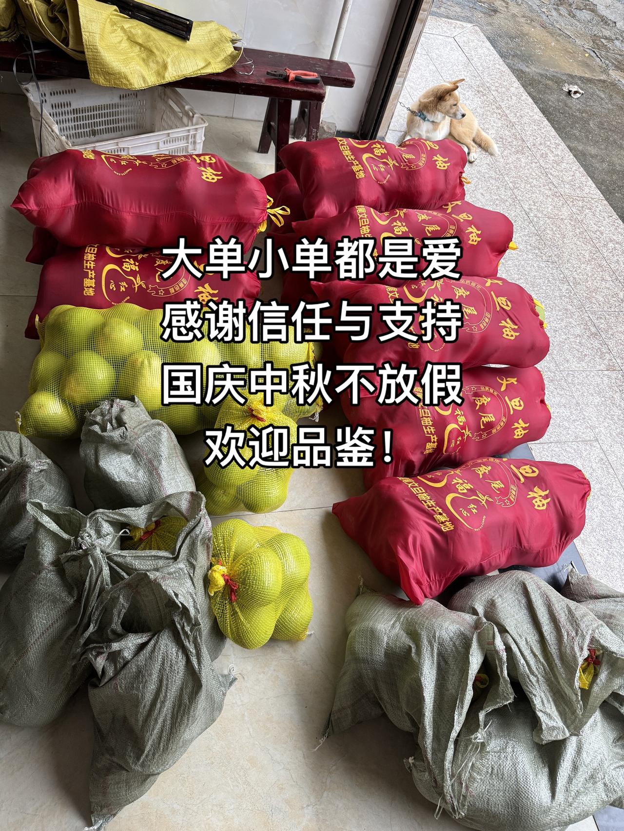 每天都有在认真的给大家挑果打包发货，国庆中秋不放假，欢迎品鉴优质农产品 水果