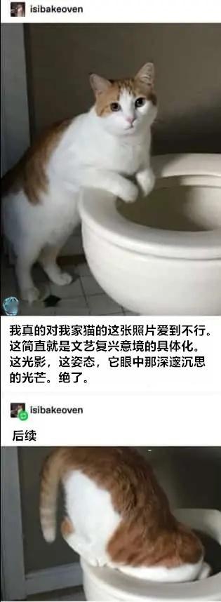 艺术就是（isibakeoven）今日meme 今日memes