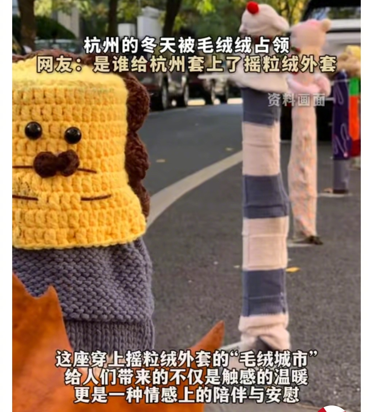 杭州的冬天被毛绒绒占领  是谁给杭州套上了摇粒绒外套 杭州的这波操作很有创意👍