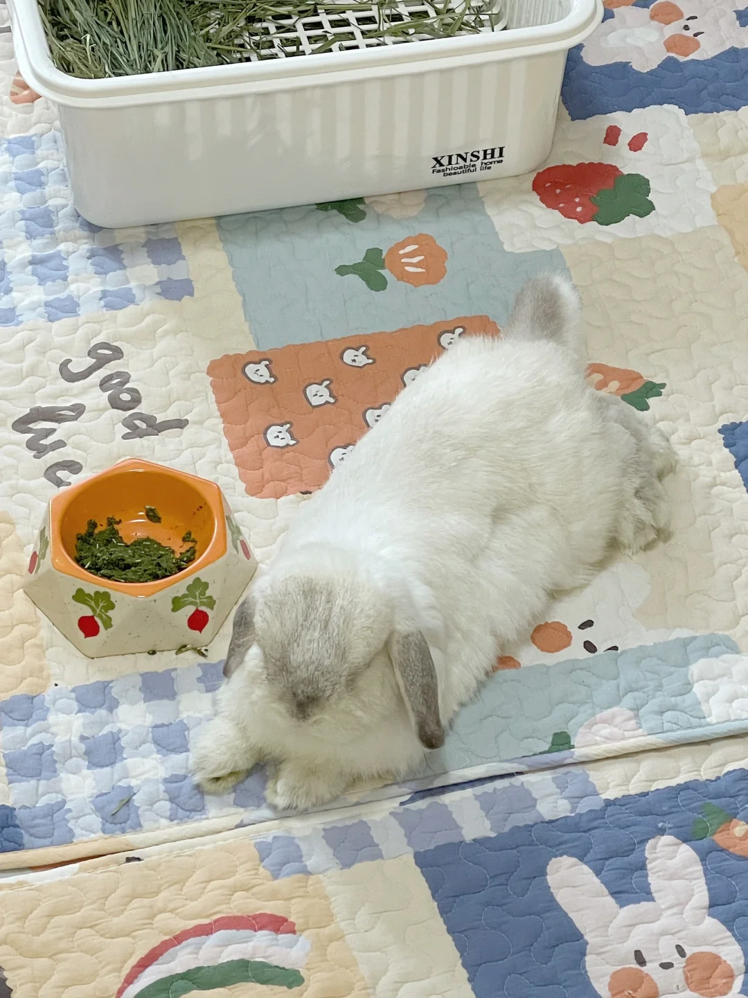小菇凉你尾巴要翘到天上去啦🤣
