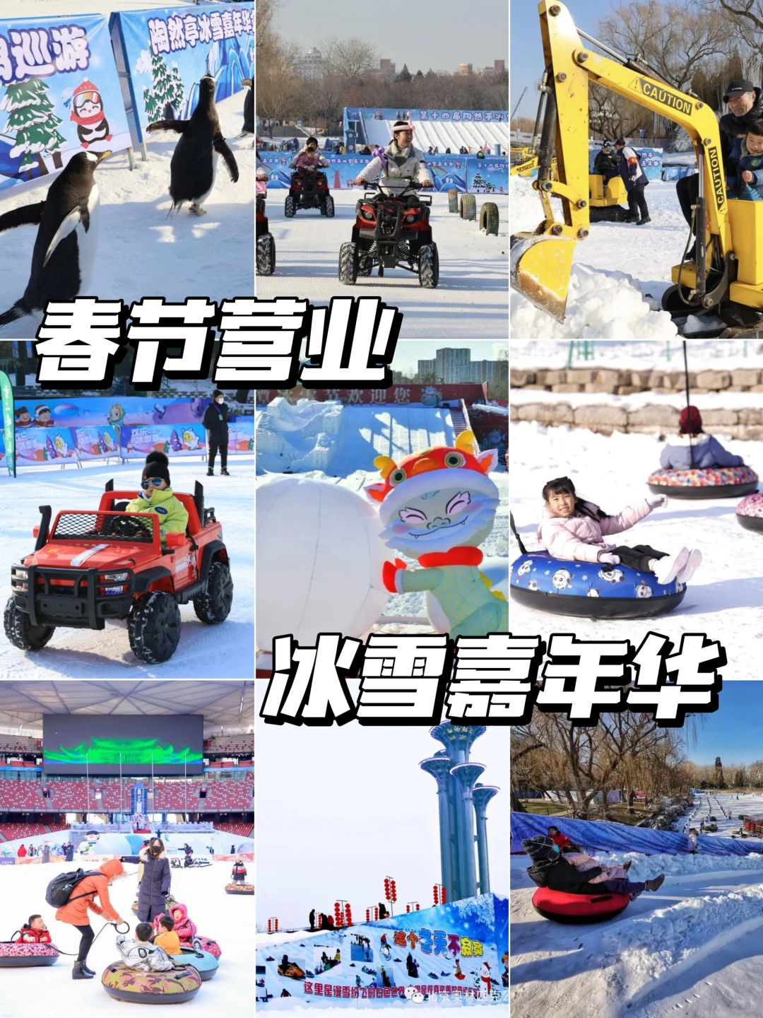 春节营业‼️这些雪场+“冰场”你都get了吗