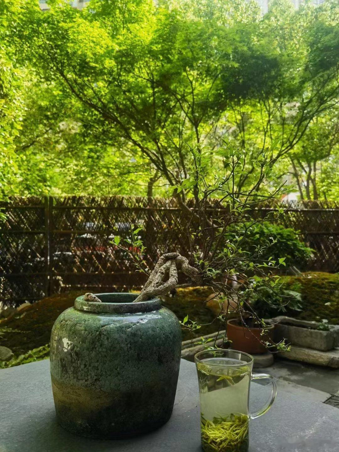 夏浅胜春最可人，美女[色][来][来]，不如跟爷吃茶去 ​​​