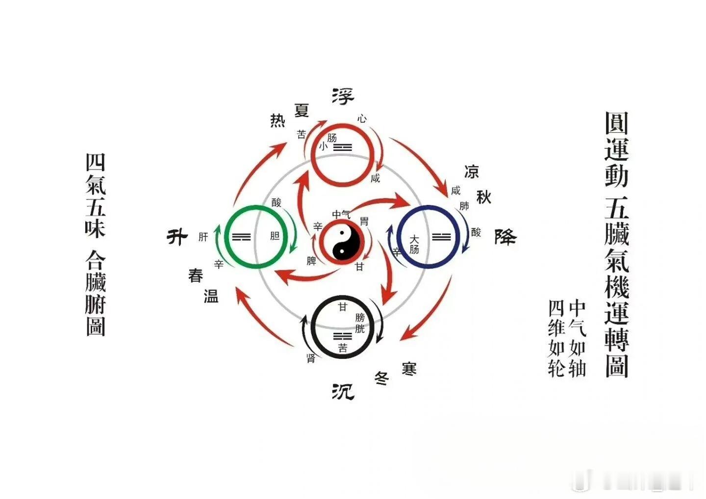 咳嗽病案一则：针“尺泽、大陵”后胸闷、憋气立刻消失咳嗽病案一则摘自《经络医学概论