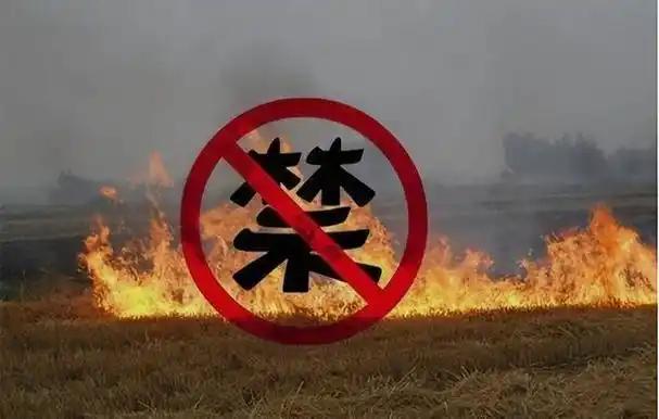 不少人拿环保当理由，禁止秸秆焚烧，看见谁烧，抓起来就罚。那为什么不以环保为由，管