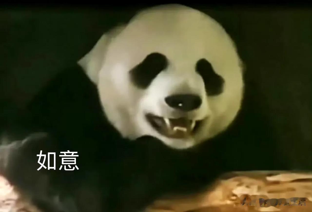 丁丁如意升级当爸爸妈妈，莫斯科，莫斯科，莫斯科，水桶没有白搬运。