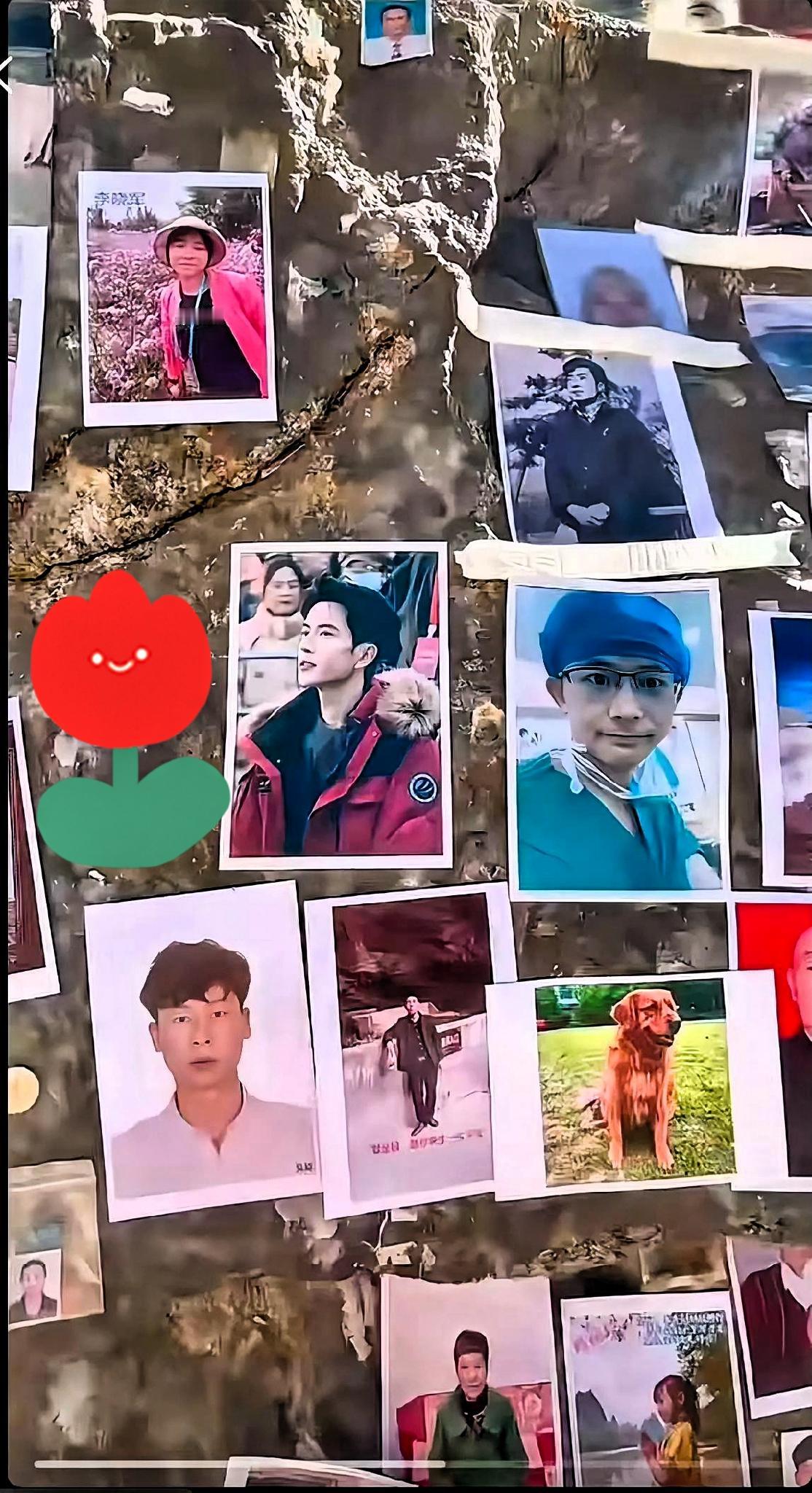 看到小鱼和罗医生的同框，眼泪真的没绷住，这俩热爱生活的大男孩，本该有说不完的邻里