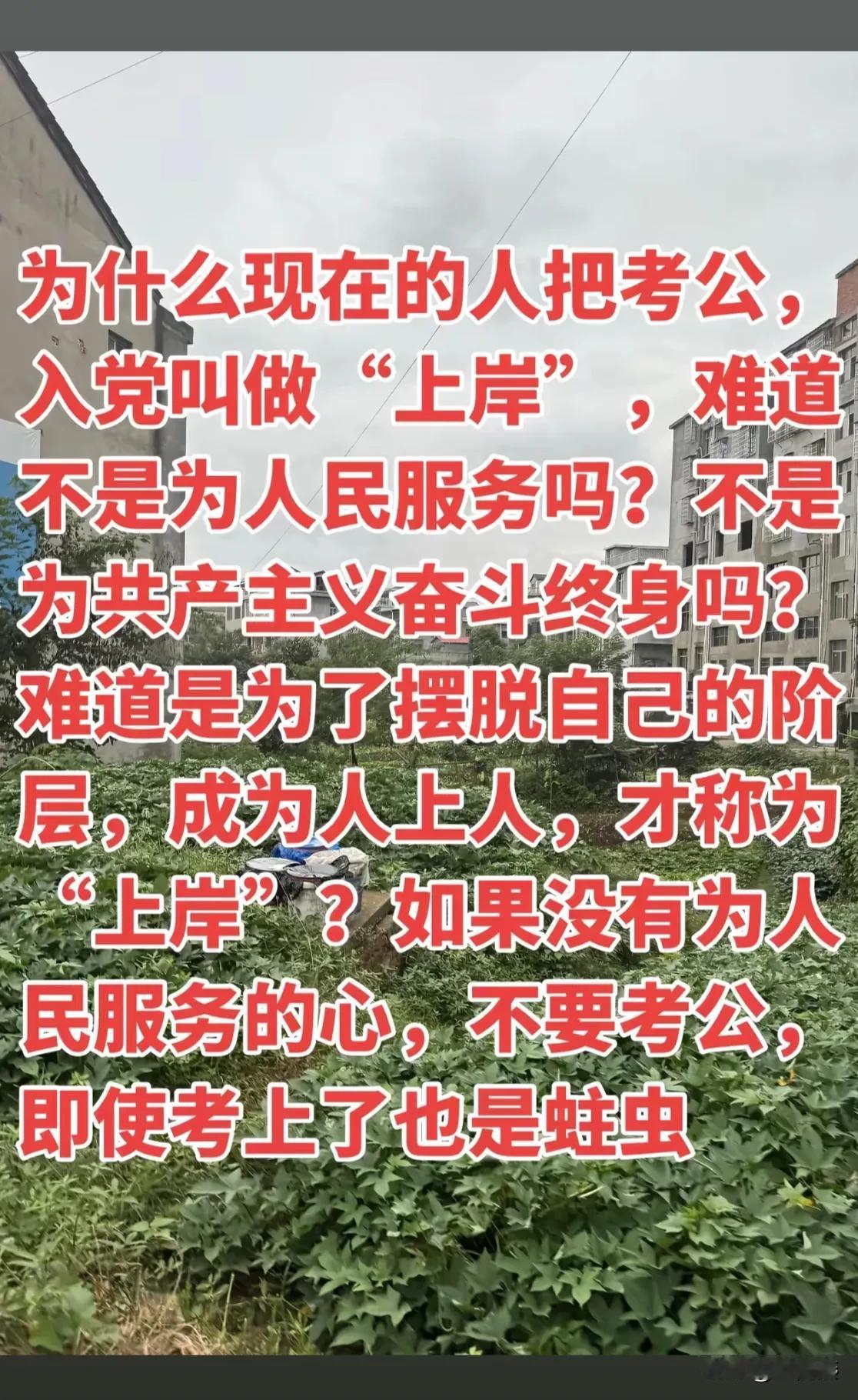 发人深思，什么叫上岸？不上岸就是在深水里吗？这种逻辑很让人担心。

为什么现在的