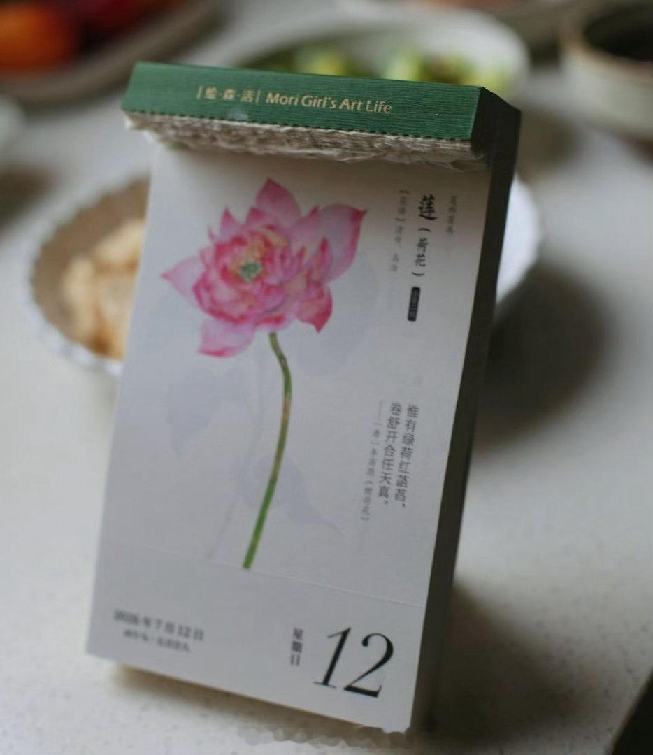 在向前的奔波里，愿我们都能保持住对生活的热爱，并要学会适时停下脚步，去感受身边的
